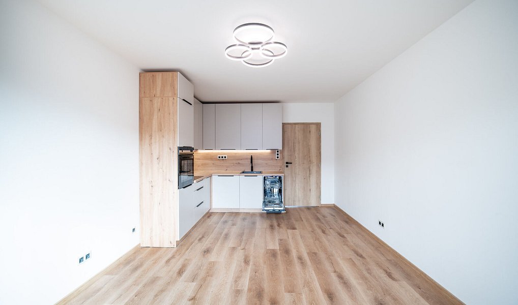 Prodej bytu 3+kk 47 m², Plzeň – náhled fotky 2