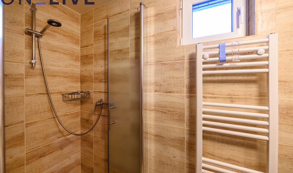 Prodej komerčního objektu (jiného typu) 500 m², Železná Ruda – náhled fotky 24