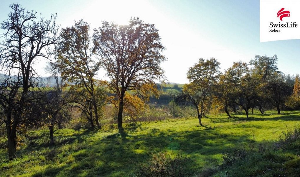 Prodej stavebního pozemku 1 442 m², Struhařov – náhled fotky 5
