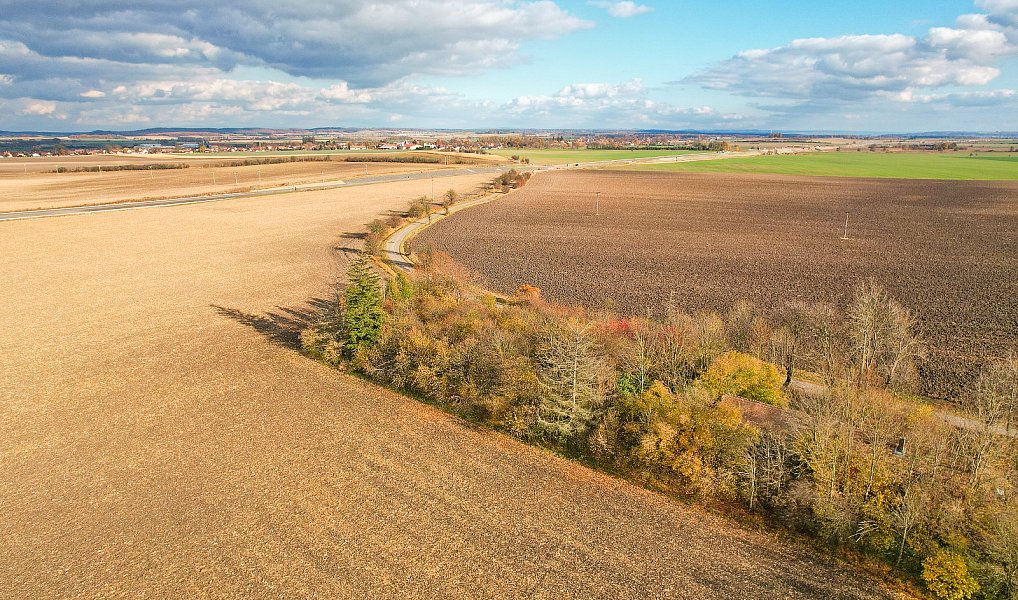 Prodej stavebního pozemku 1 575 m², Dašice – náhled fotky 8