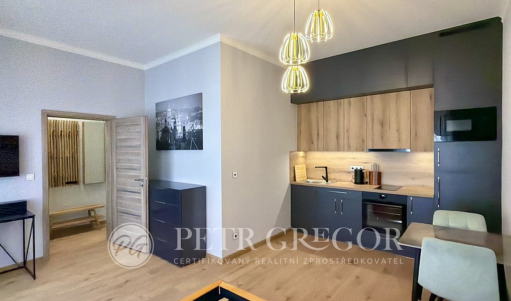 Pronájem bytu 1+kk 35 m², Poděbrady – náhled fotky 8