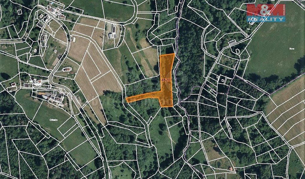 Prodej louky 6 562 m², Koberovy – náhled fotky 7