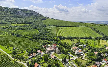POZEMEK S VINNÝM SKLEPEM POD PÁLAVOU, HORNÍ VĚSTONICE, Horní Věstonice, okres Břeclav