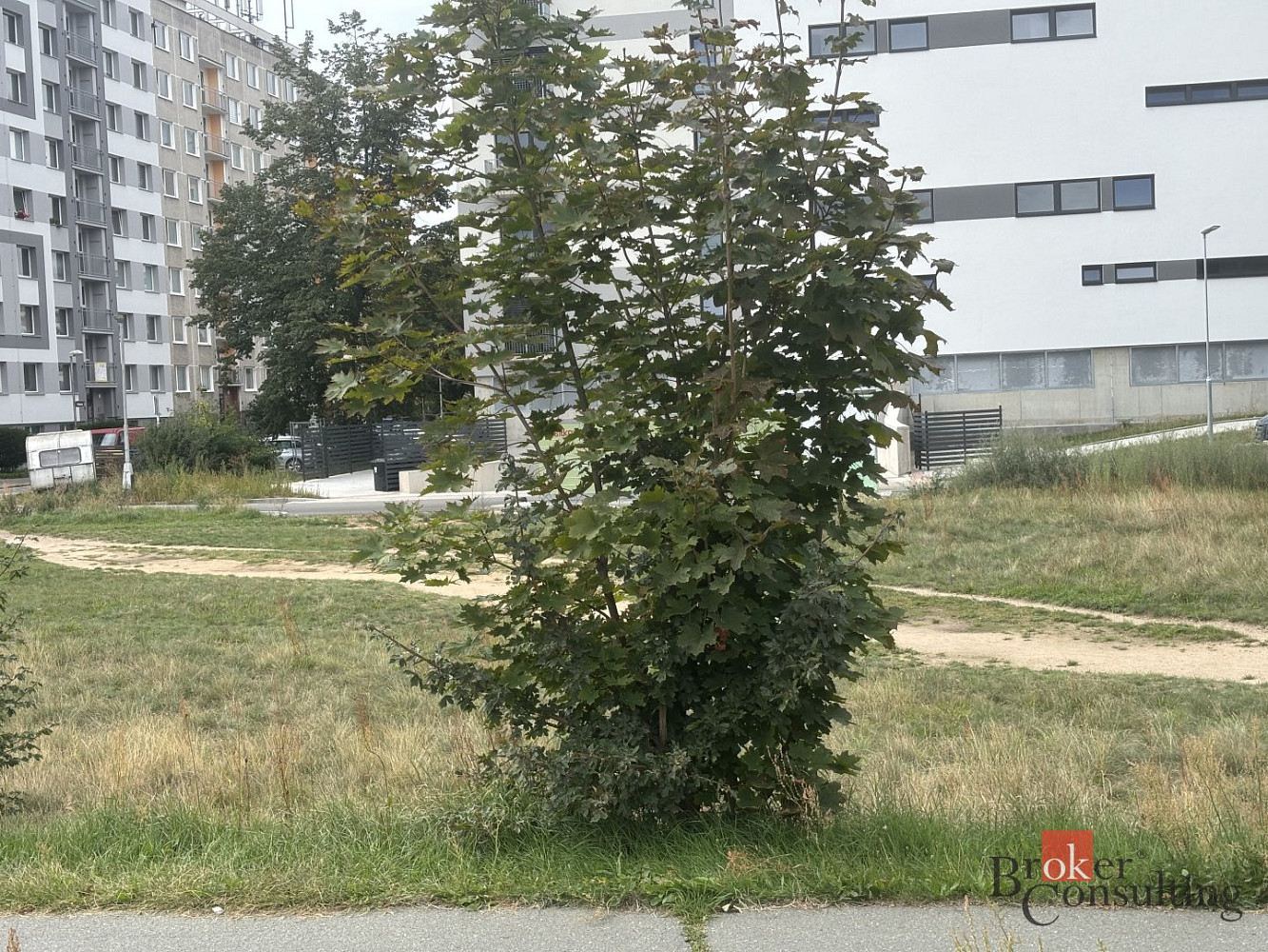 Pronájem komerčního pozemku 1 698 m² – fotografie 2