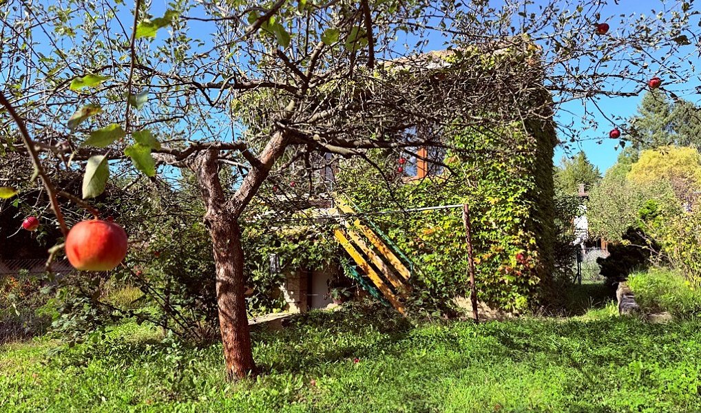Prodej zahrady 392 m², Příbor – náhled fotky 10