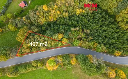Prodej lesa 467 m², Kosov, okres Šumperk