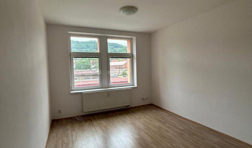 Pronájem bytu 2+kk 50 m², Ústí nad Labem – náhled fotky 5