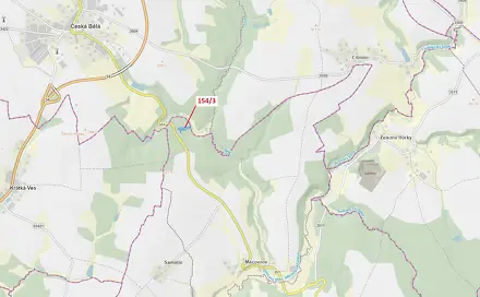 Dražba lesa 5 060 m², Česká Bělá