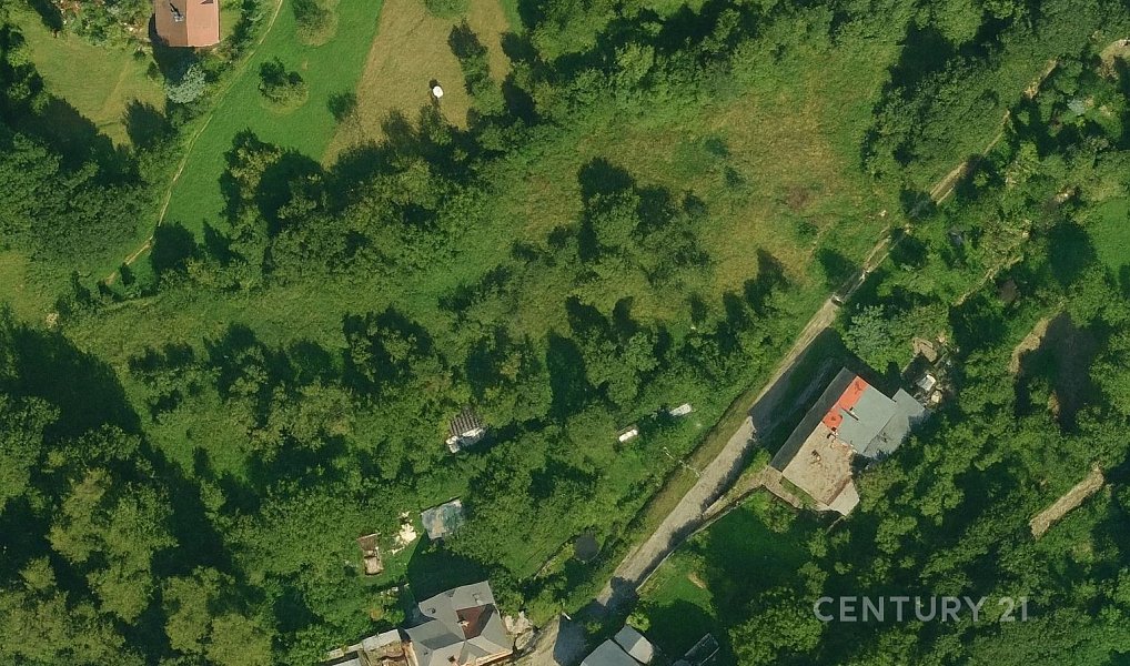 Prodej zahrady 4 971 m², Štramberk – náhled fotky 6