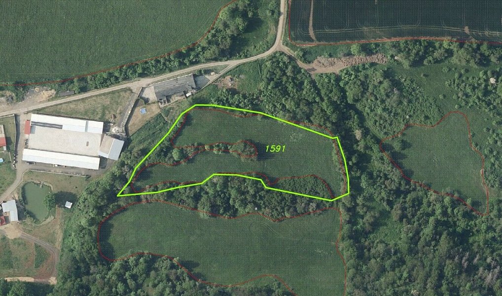 Prodej pole 10 485 m², Řehlovice – náhled fotky 5