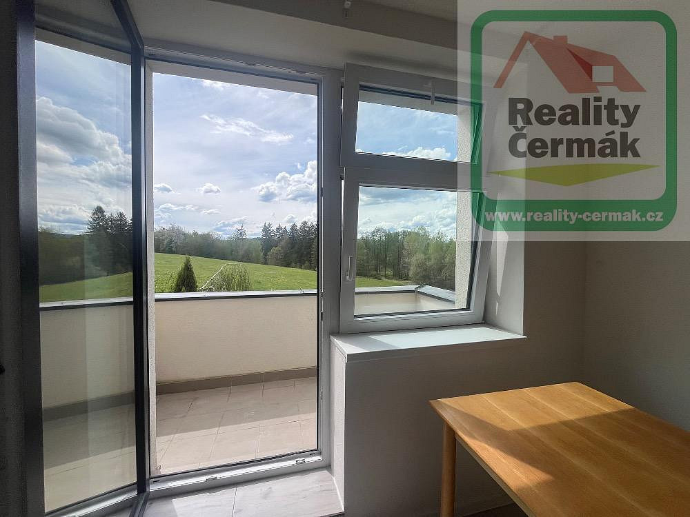 Pronájem bytu 1+1 40 m² – fotografie 4