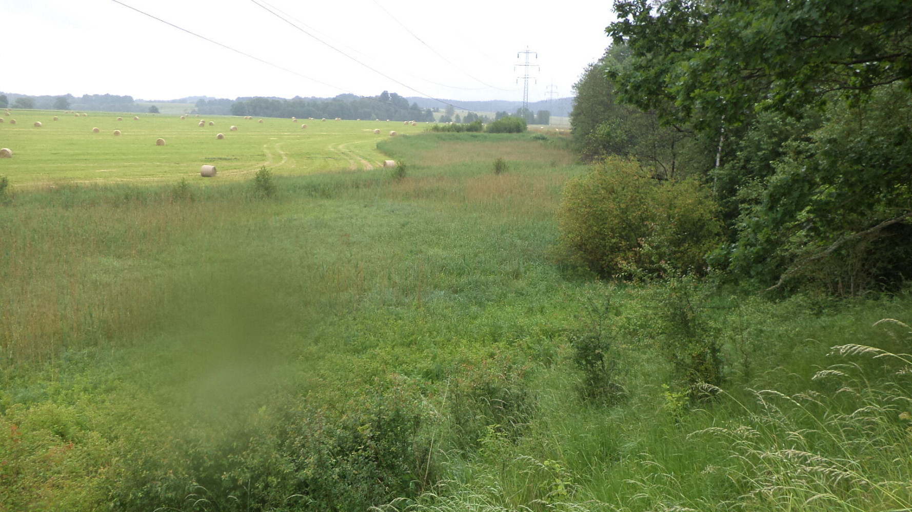 Prodej pole 4 685 m² – fotografie 3