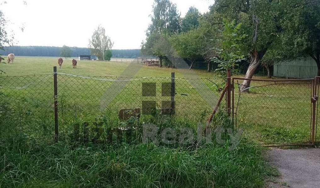 Prodej stavebního pozemku 9 217 m², Lišov – náhled fotky 3