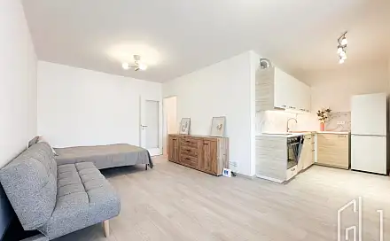 Pronájem bytu 1+kk 39 m²