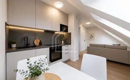 Pronájem bytu 1+kk 30 m²