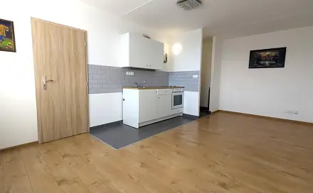 Pronájem bytu 2+kk 34 m², Jana Opletala, Most