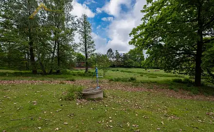 Pronájem stavebního pozemku 6 665 m², Skalice, okres Tábor