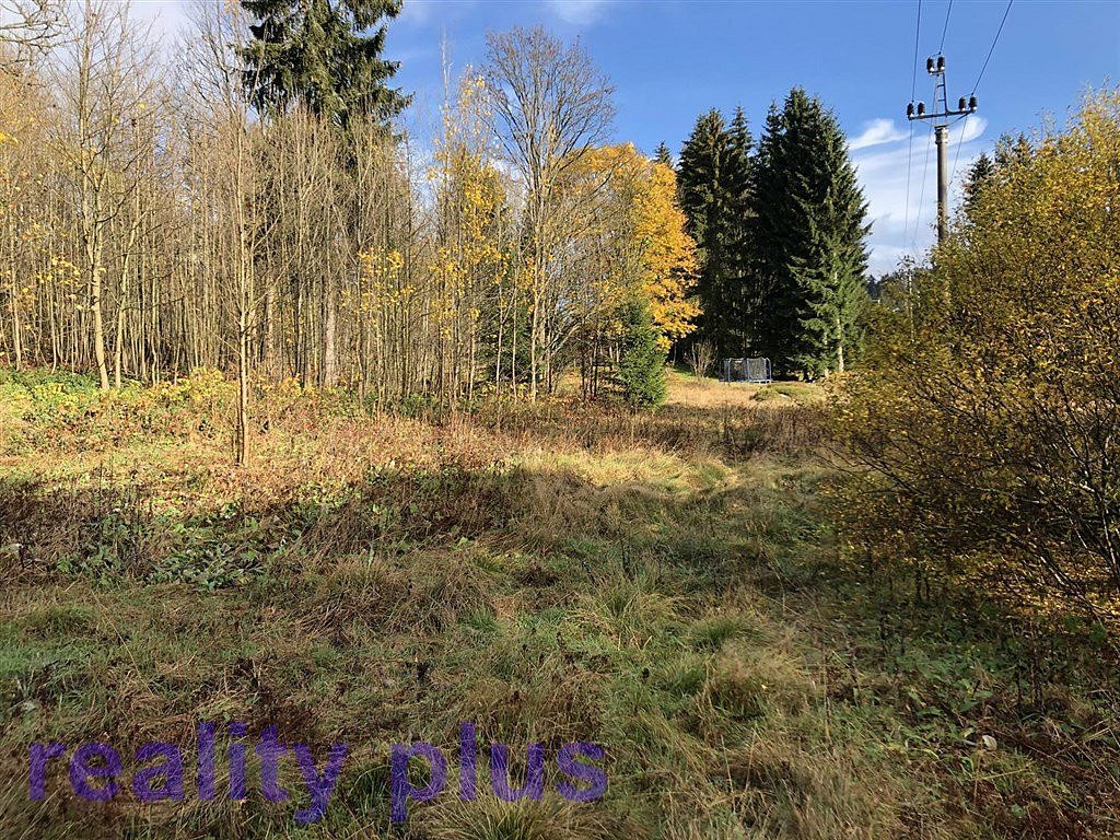 Prodej louky 3 963 m² – fotografie 3
