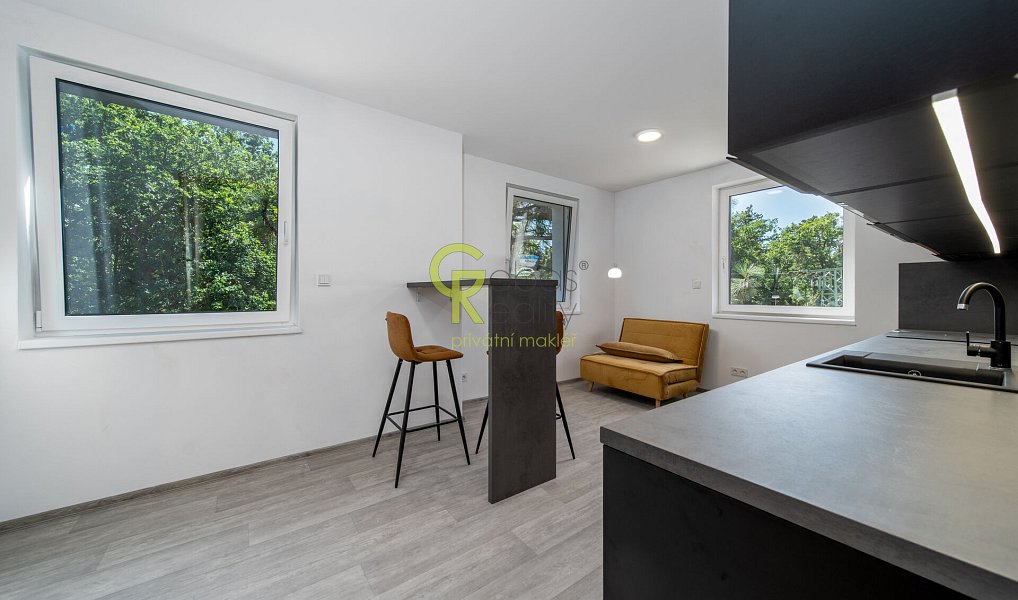 Prodej bytu 2+kk 49 m², Skorkov – náhled fotky 7