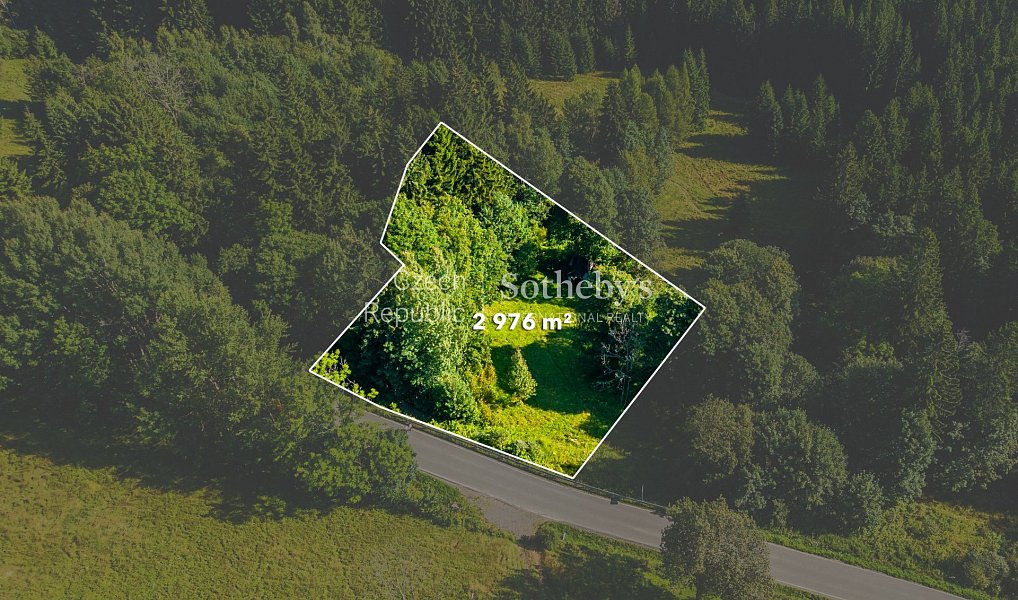 Prodej stavebního pozemku 2 976 m², Janov nad Nisou – náhled fotky 9