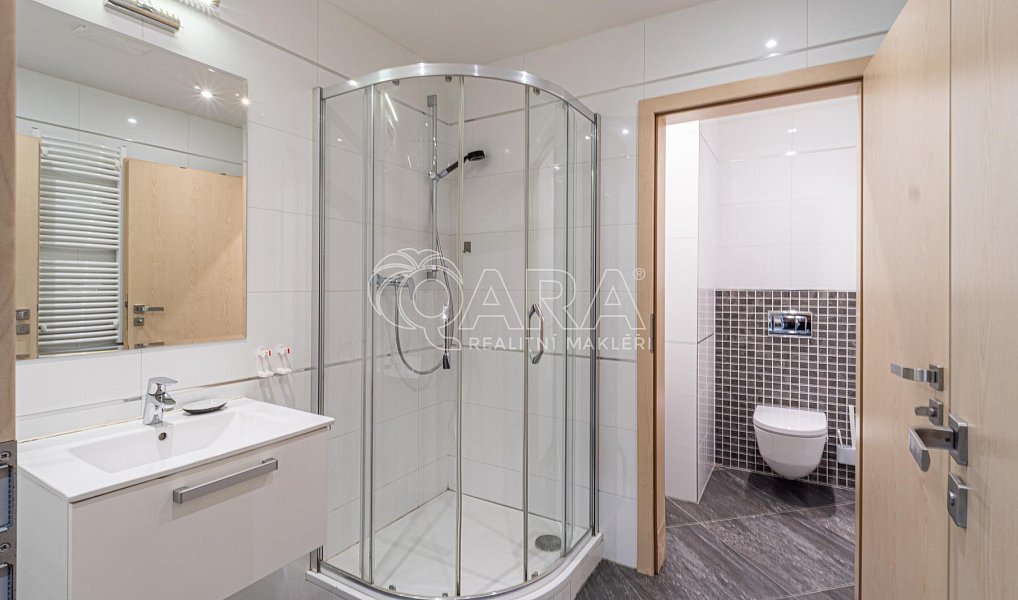 Pronájem bytu 1+kk 37 m², Praha – náhled fotky 8