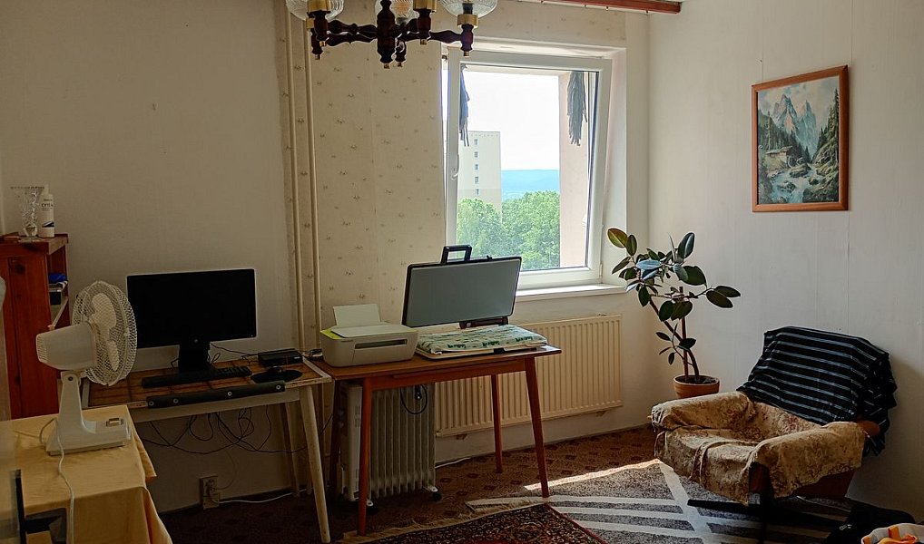 Prodej bytu 3+1 74 m², Karlovy Vary – náhled fotky 16