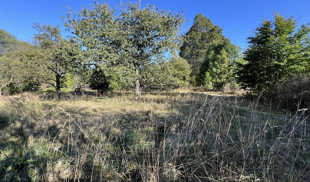 Prodej stavebního pozemku 6 434 m², Bílčice – náhled fotky 13