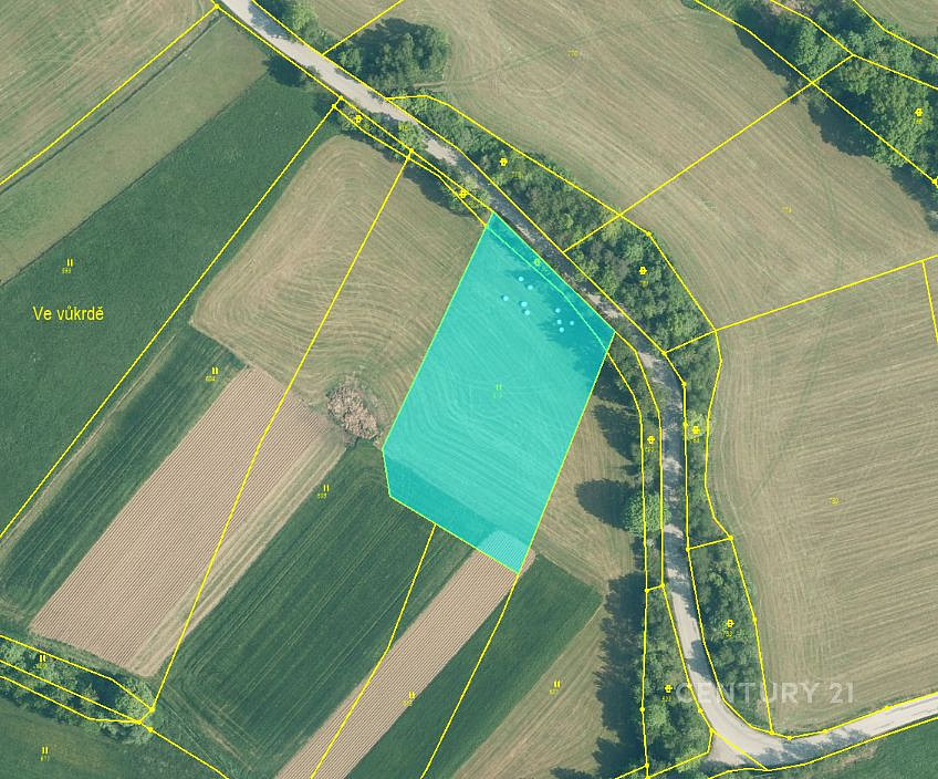 Prodej pole 4 213 m²