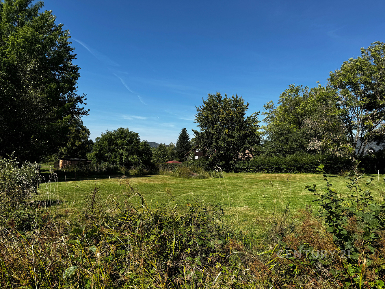 Prodej stavebního pozemku 3 702 m² – fotografie 2