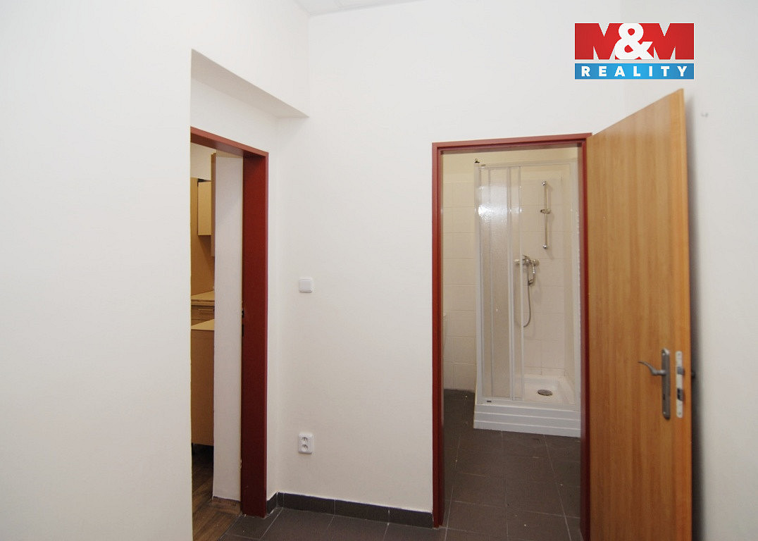 Pronájem bytu 1+kk 31 m² - Widok 4