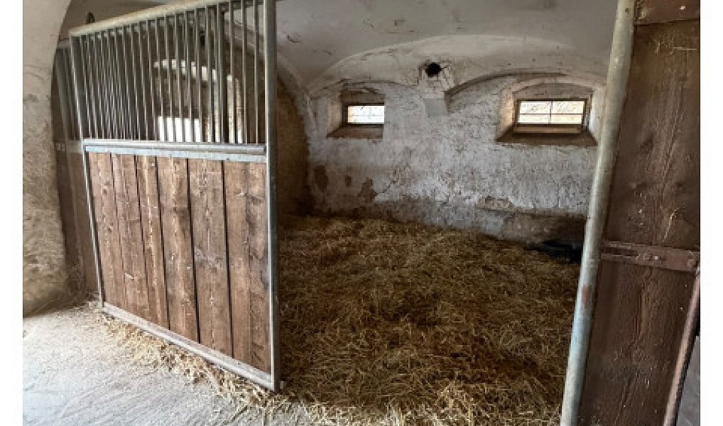 Prodej zemědělského objektu 300 m², Varnsdorf – náhled fotky 23