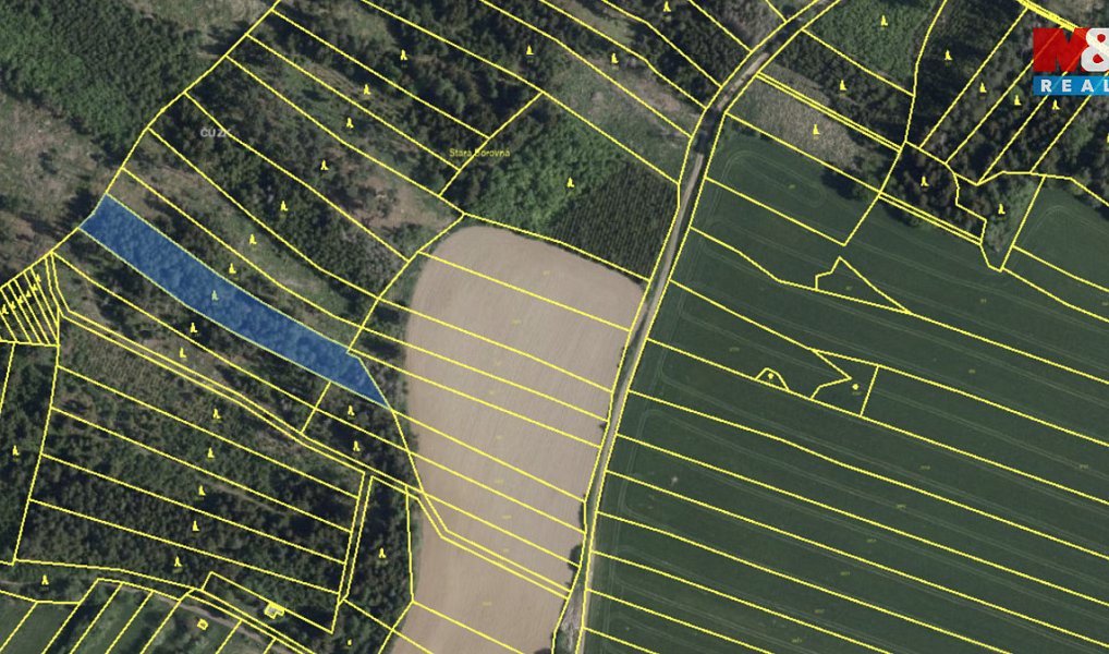 Prodej lesa 7 177 m², Mysletice – náhled fotky 3
