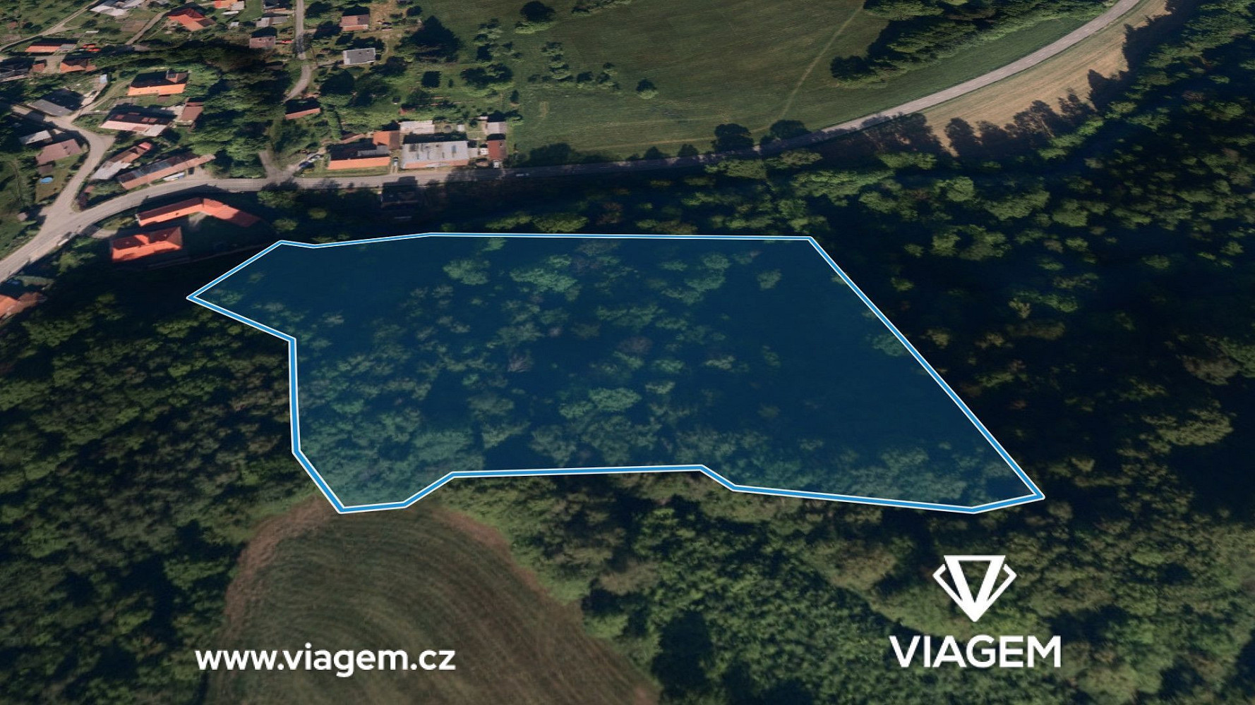 Prodej lesa 4 457 m² – fotografie 2