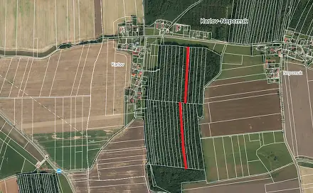 Prodej lesa 6 005 m², Dražíč, okres České Budějovice