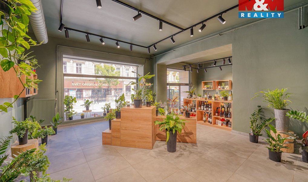 Pronájem obchodních prostor 145 m², Plzeň – náhled fotky 6
