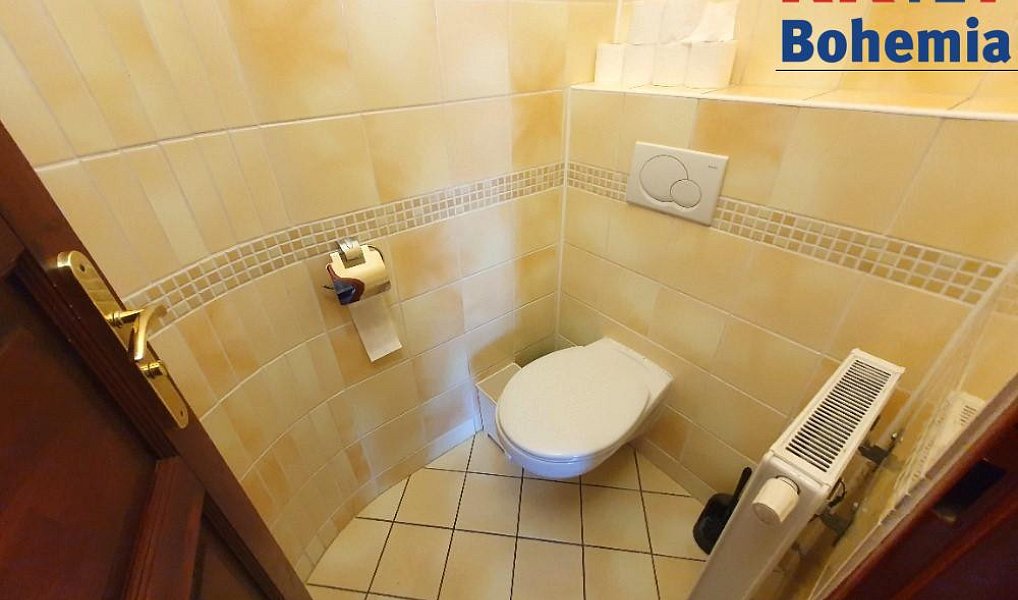 Pronájem bytu 4+1 100 m², Mladá Boleslav – náhled fotky 14