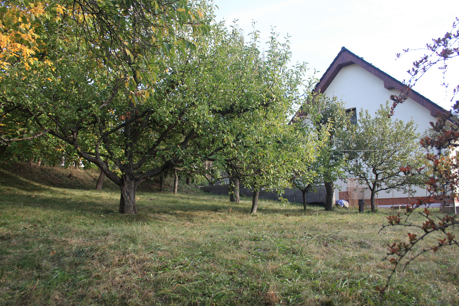 Prodej stavebního pozemku 1 152 m² – fotografie 4