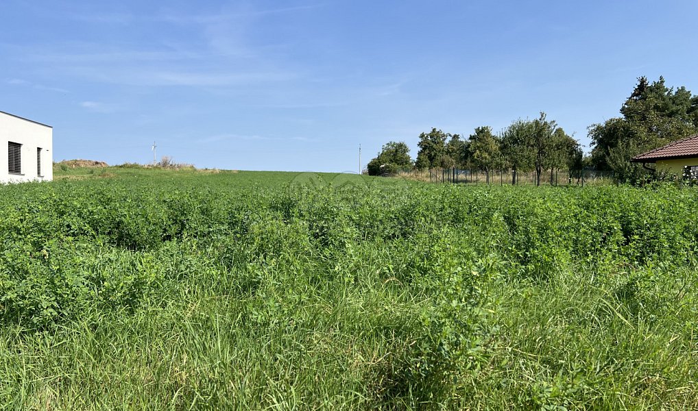 Prodej stavebního pozemku 700 m², Určice – náhled fotky 7