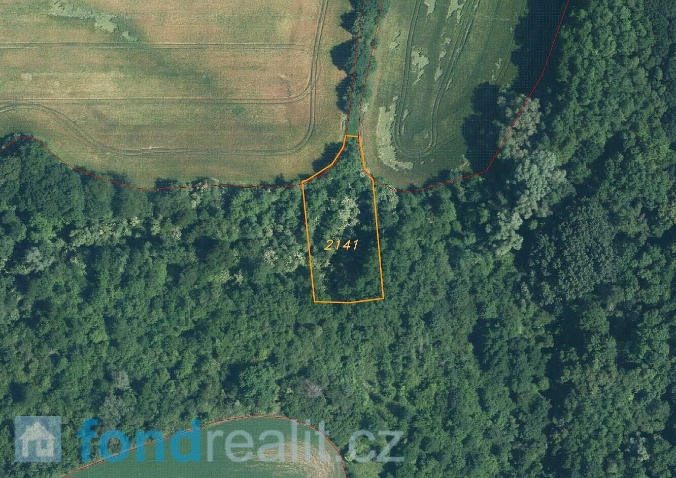 Prodej pozemku 4 351 m² – fotografie 4