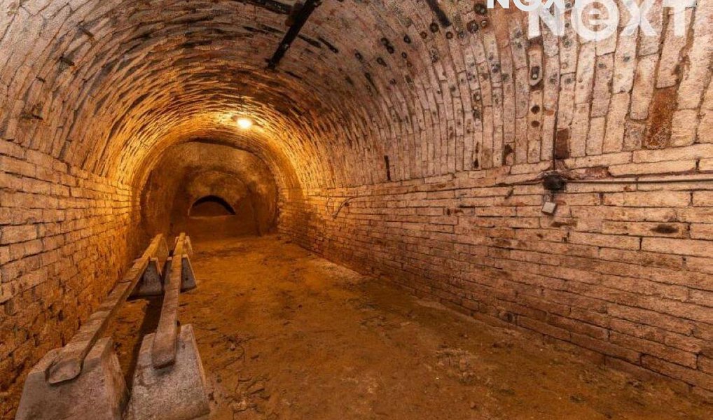 Prodej ostatní Vinný sklep, 25m2, Čejkovice, Čejkovice – náhled fotky 7