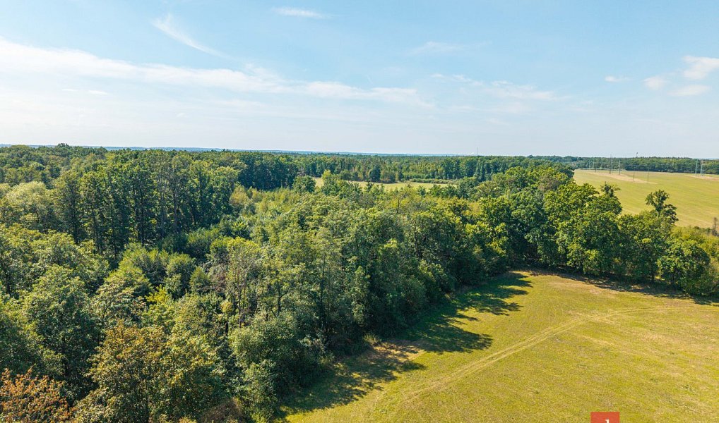 Prodej lesa 37 347 m², Pardubice – náhled fotky 8