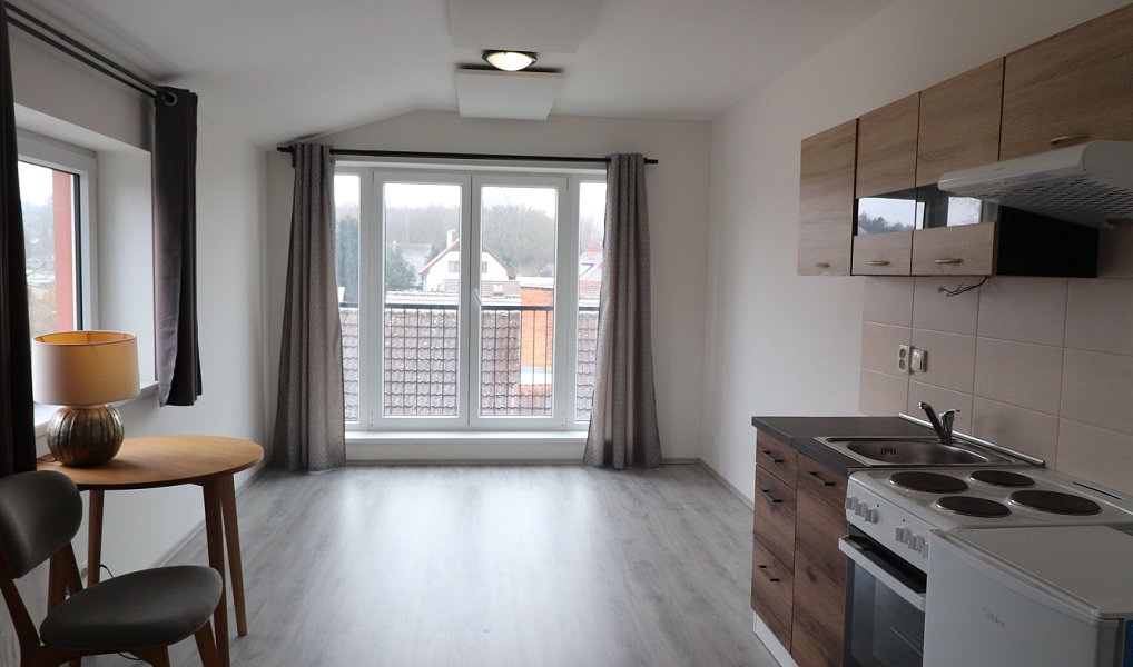 Pronájem bytu 1+kk 22 m², Škvorec – náhled fotky 2