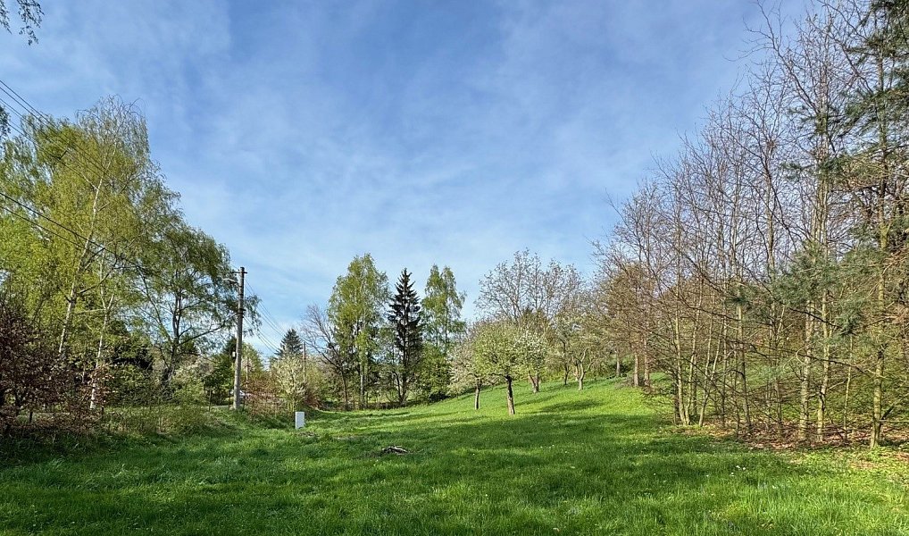Prodej stavebního pozemku 3 412 m², Žandov – náhled fotky 5