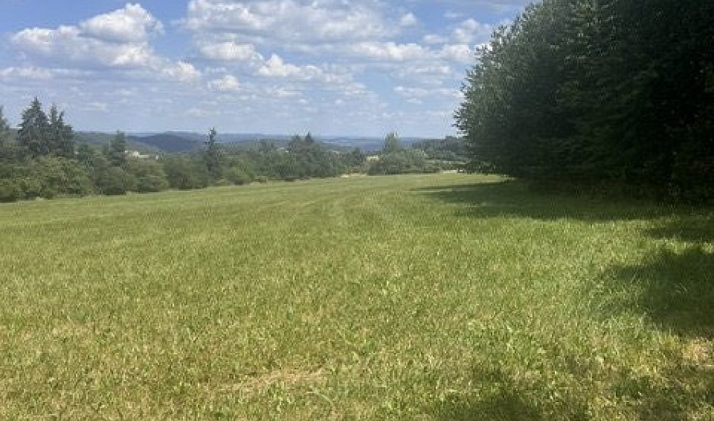 Prodej stavebního pozemku 14 128 m², Pečice – náhled fotky 3