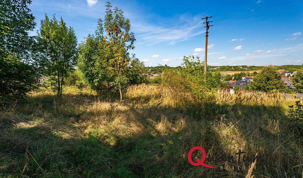 Prodej stavebního pozemku 16 339 m², Brandýsek – náhled fotky 52