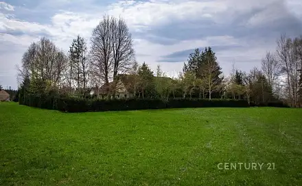 Prodej chaty/chalupy 188 m² s pozemkem 1 923 m², Bosna, Rapšach, okres Jindřichův Hradec