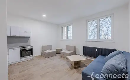Pronájem bytu 1+kk 30 m², Husova, Přerov - Přerov I-Město