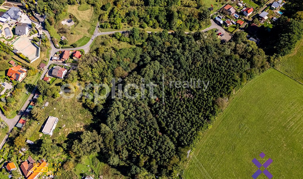 Prodej stavebního pozemku 7 772 m², Slušovice – náhled fotky 8