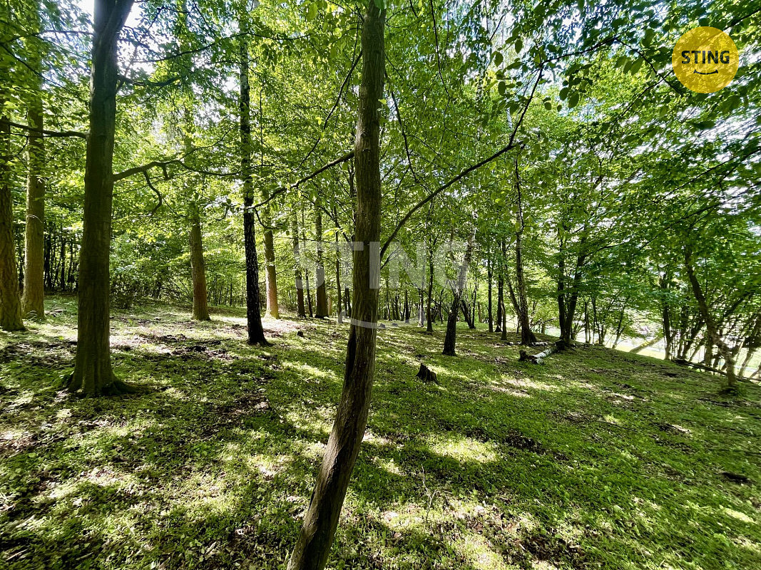 Prodej lesa 16 440 m² – další