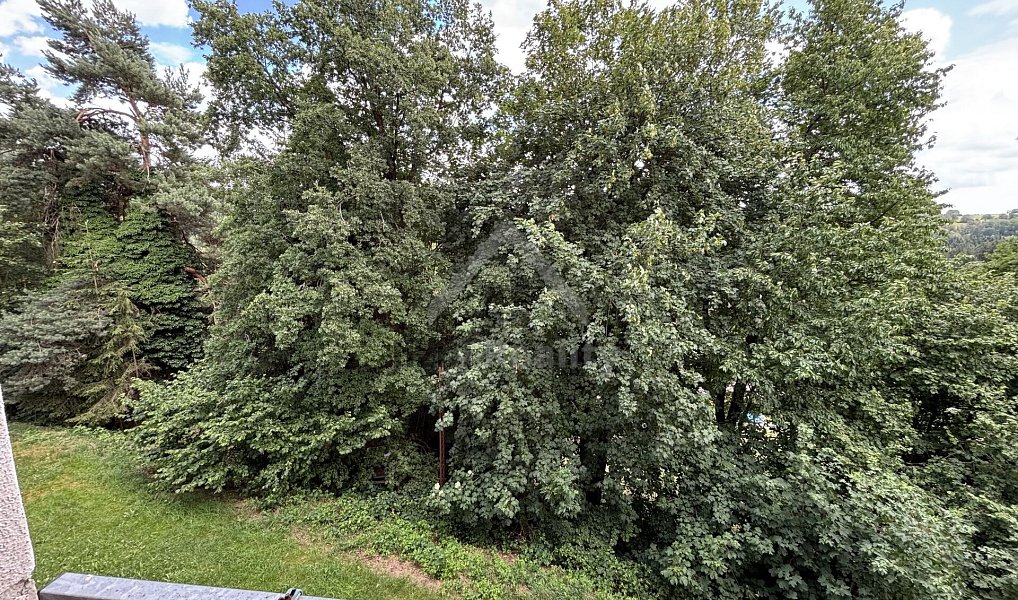Prodej bytu 3+1 85 m², Benešov nad Černou – náhled fotky 11